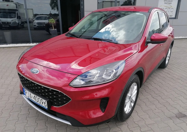 Ford Kuga cena 79900 przebieg: 51900, rok produkcji 2020 z Dąbrowa Tarnowska małe 436